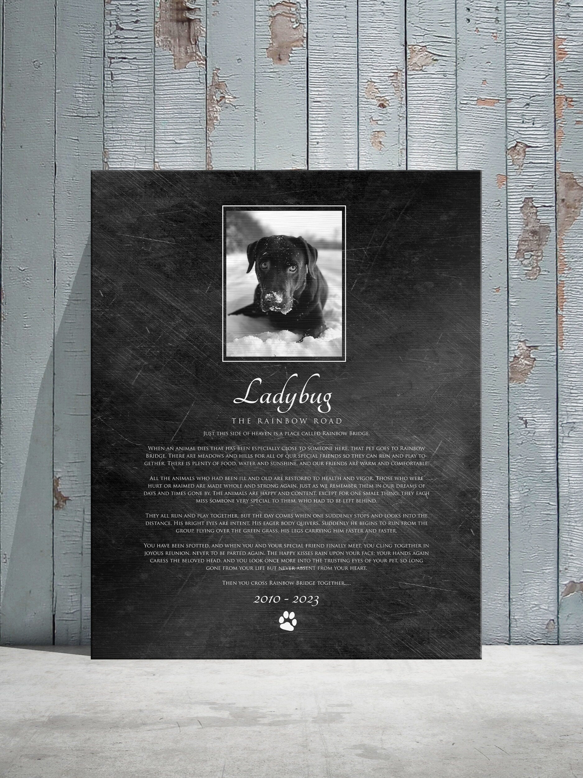 The Rainbow Bridge, Photo Pet Memorial - HoneycombProverbs - Pet Portraits - Photo Plaques
